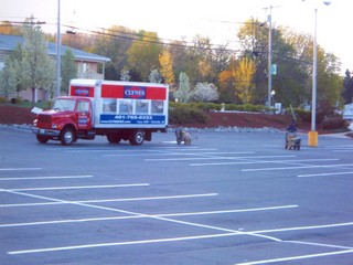 Line Striping in RI